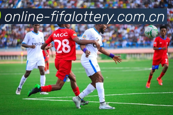 FIFA官方认证